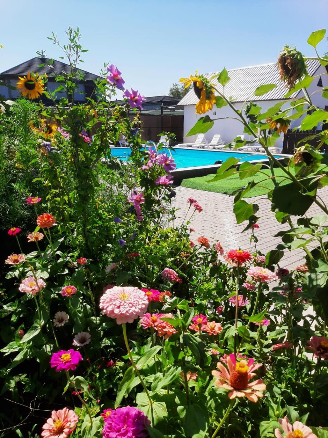 קפצ'אגאי Malibu Guest House מראה חיצוני תמונה